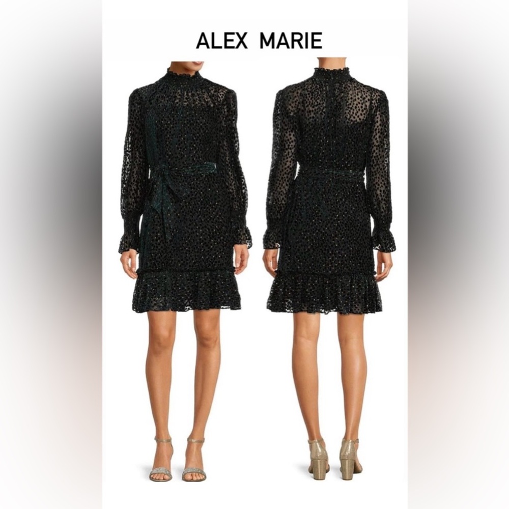 Alex Marie, Sykler Velvet Burnout Long Sleeve Mock
Neck Tiered Dress, Size 14